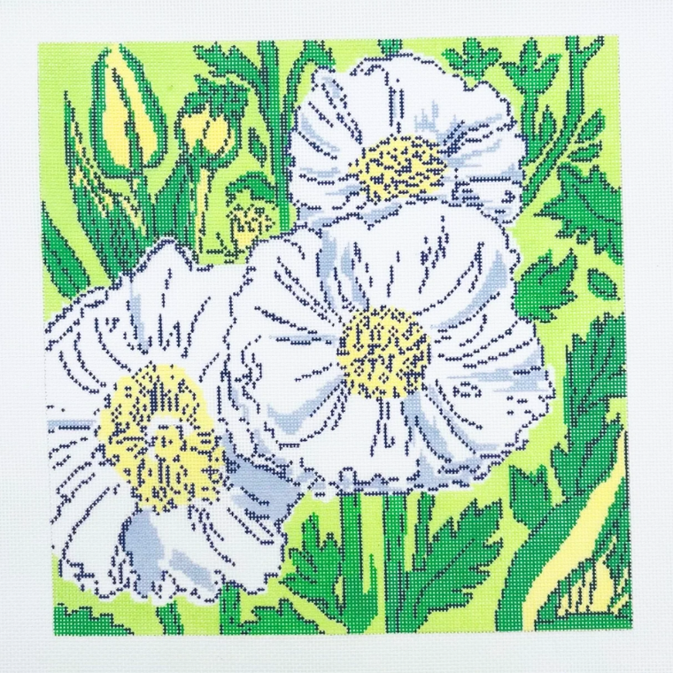 Queen Wilheminas Poppies