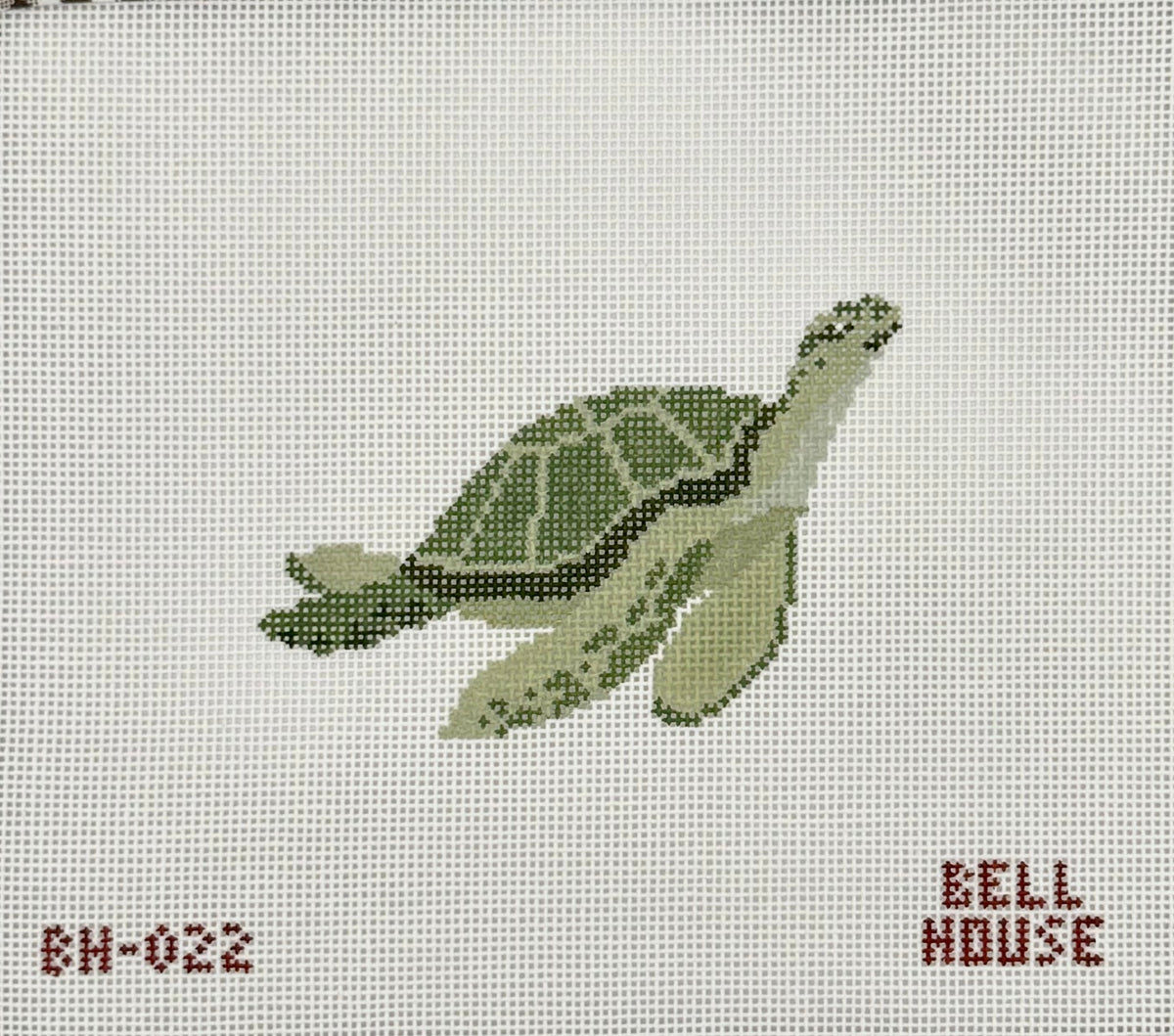 Sea Turtle