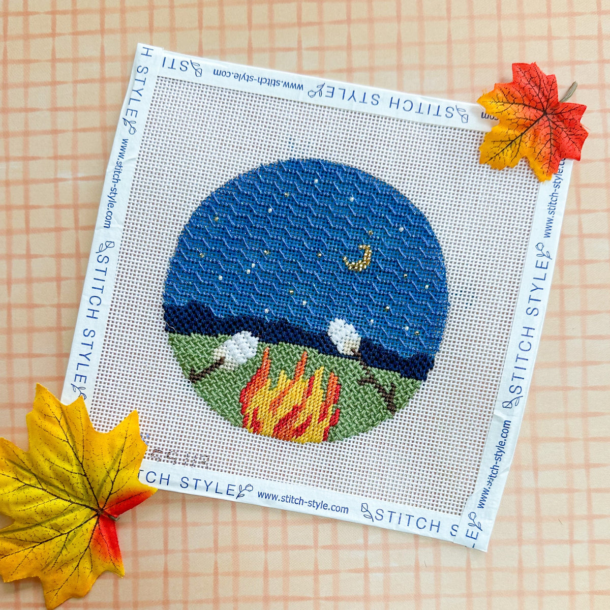 Campfire with S'mores
